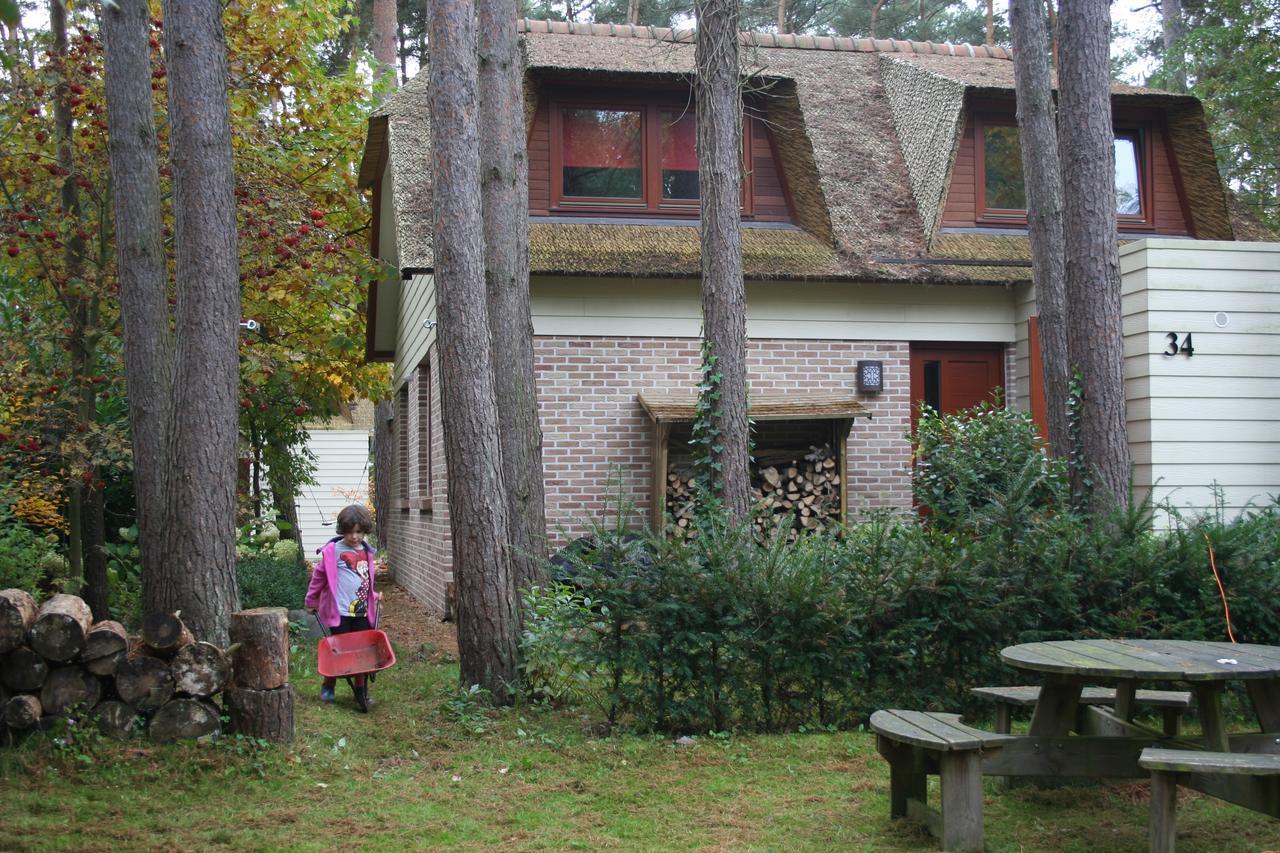 Villa Waterlelie 34 Rekem Extérieur photo